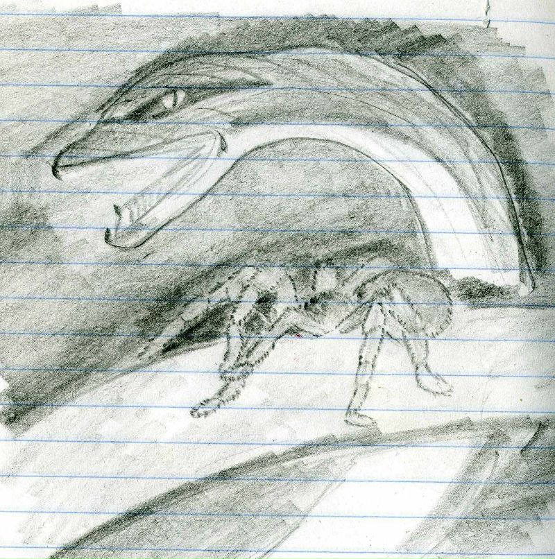 Анжелика Привалова Евгеньевна | Благовещенск