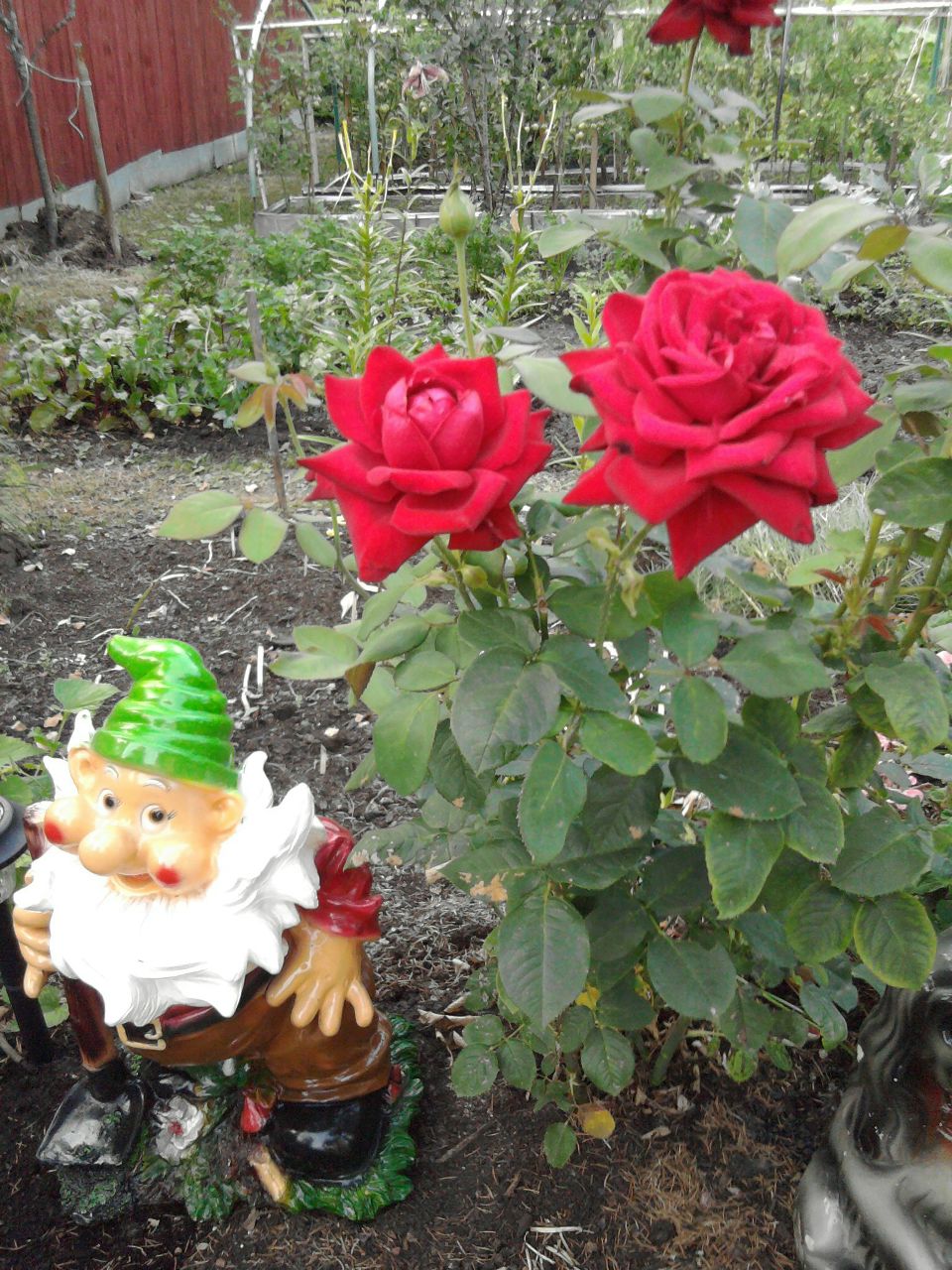 Светлана Беседина | Москва