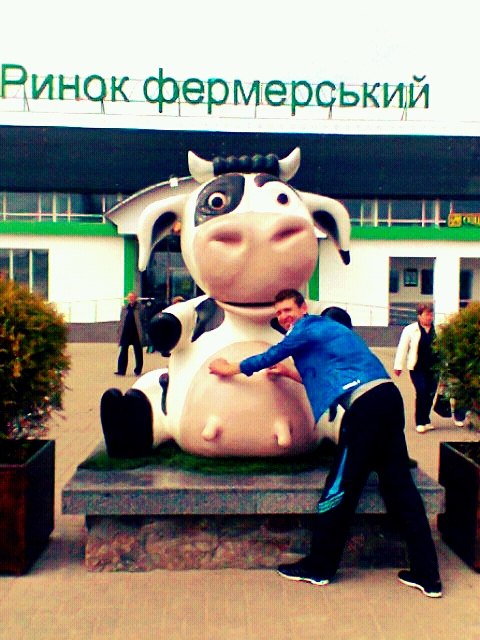 Владимир Янишевский | 