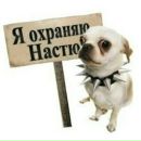 №22 Анастасия Панфилова 08.05.1992: профиль, фото, статус - ВКонтакте