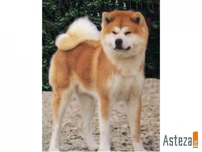 Юлия Решетникова | Москва