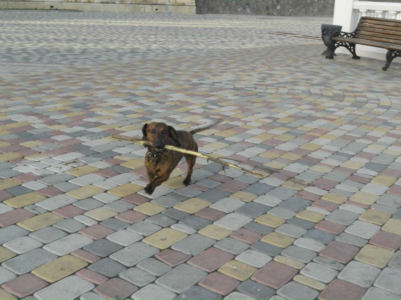 Регина Саакян | Москва