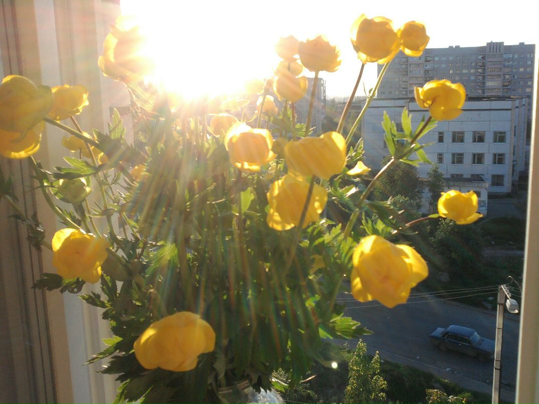 Елена Логинова | Петрозаводск