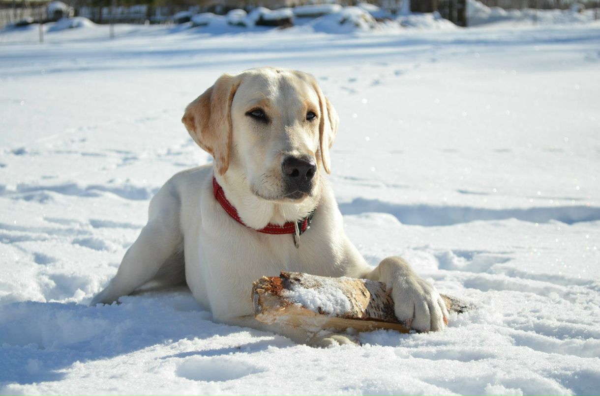 Marina-Марго Kameneva | Санкт-Петербург
