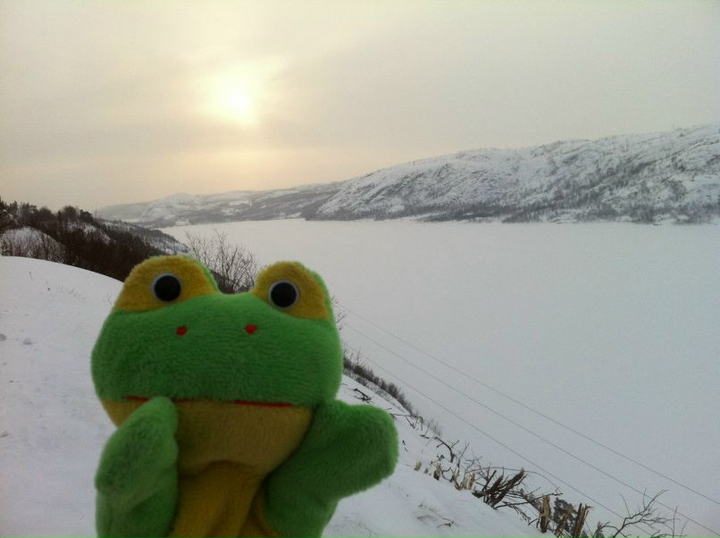 Лягушка Путешественник | 