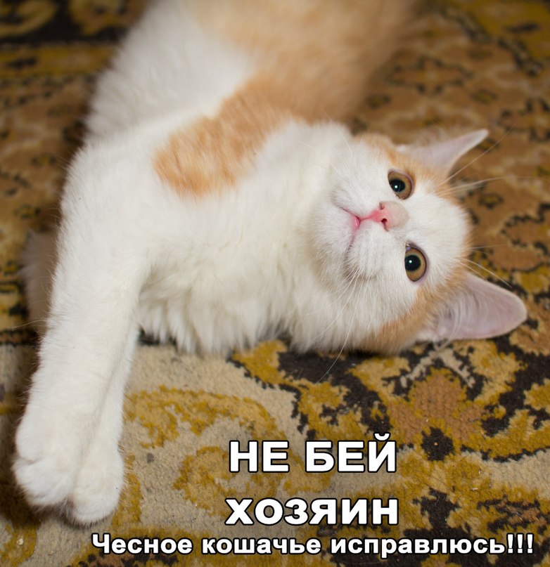 Евгений Иваков Bugs B | Челябинск