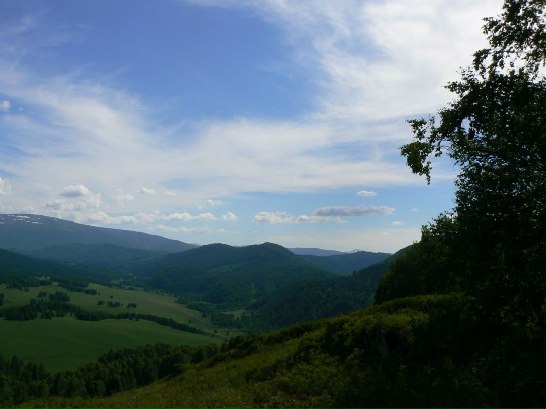 Вячеслав Рощин | 