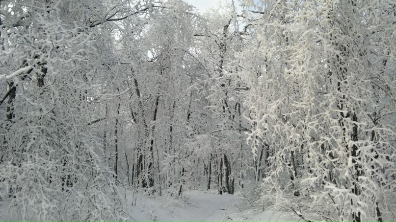 Олег Колесников | Саратов
