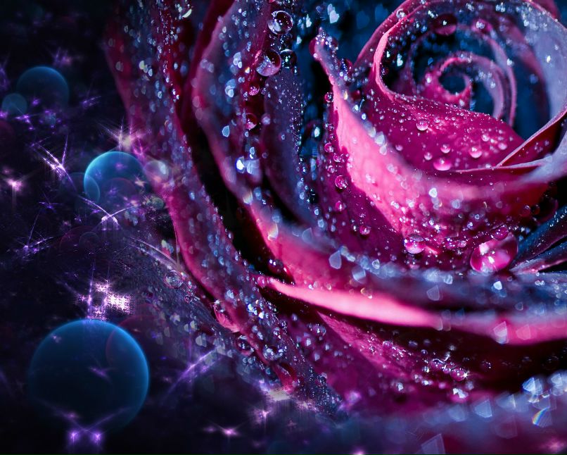 Анна Петрова | Москва