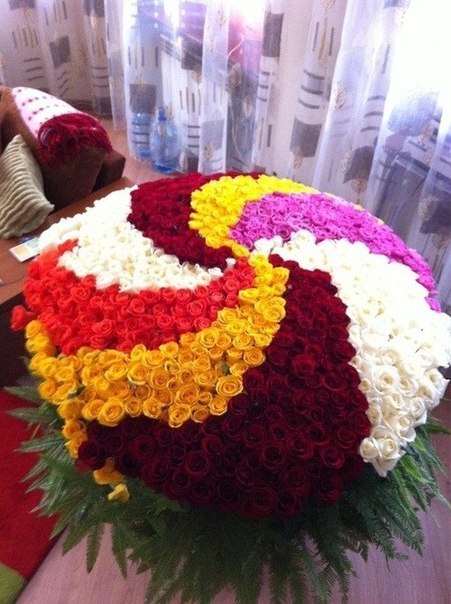 Солнышко Ясное | Одесса