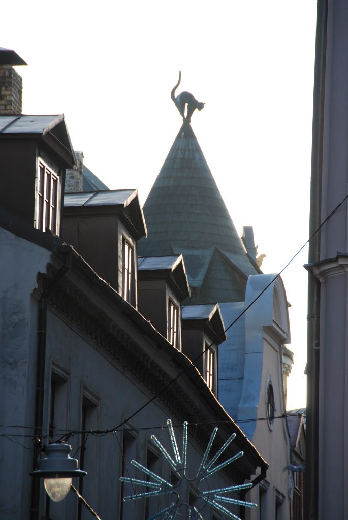 Галина Павлова | Коломна