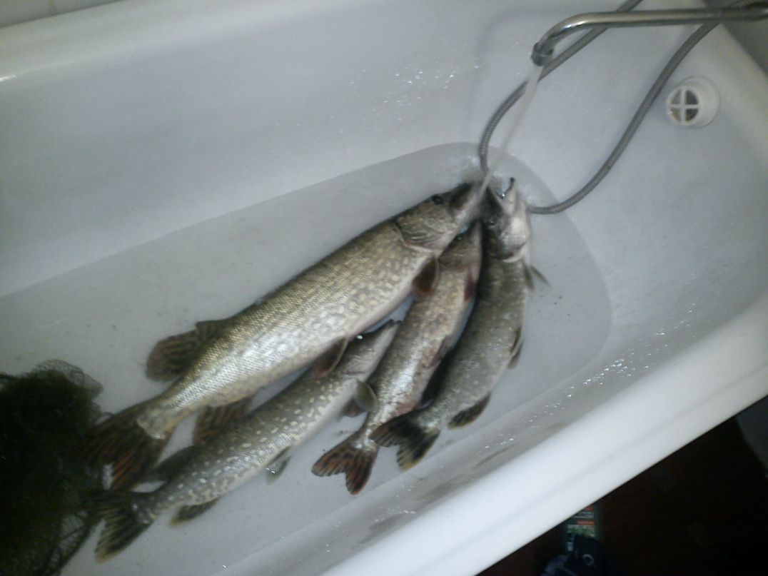 Артем Жиглий | Кривой Рог