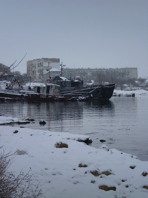 Дмитрий Волков | Черноморское