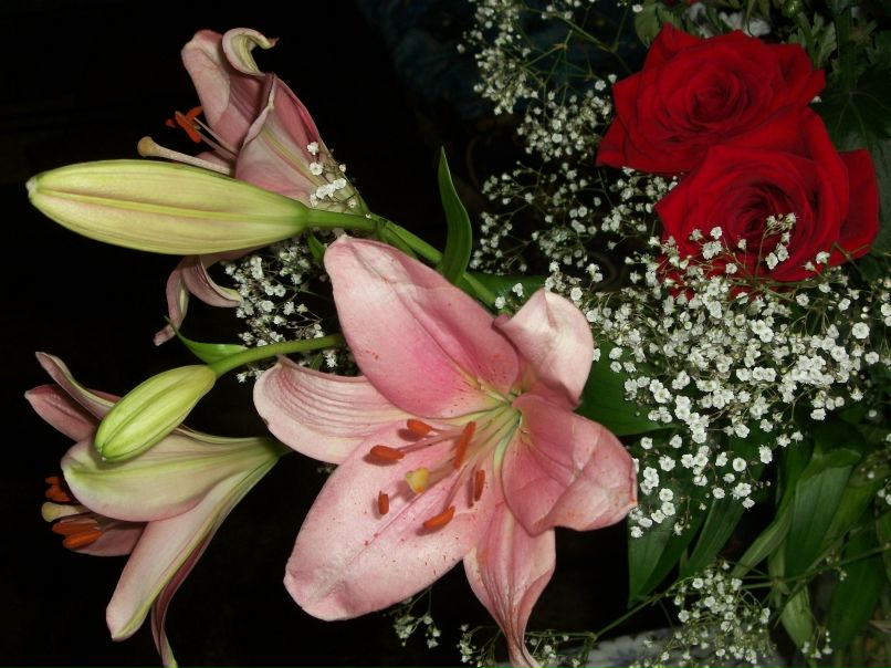 Галина Запольская | Подпорожье