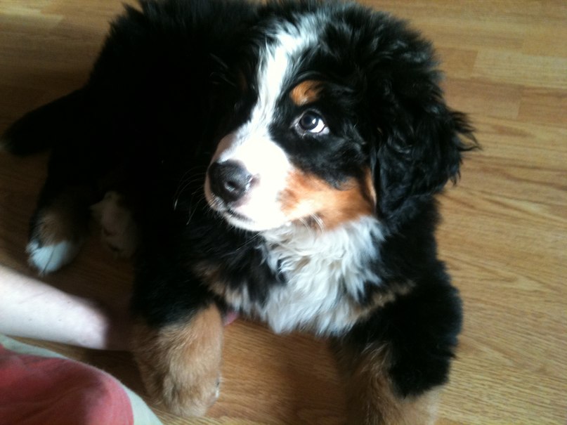 Дарья Исакова | Москва