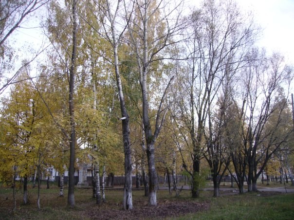 Алексей Кострюков | 