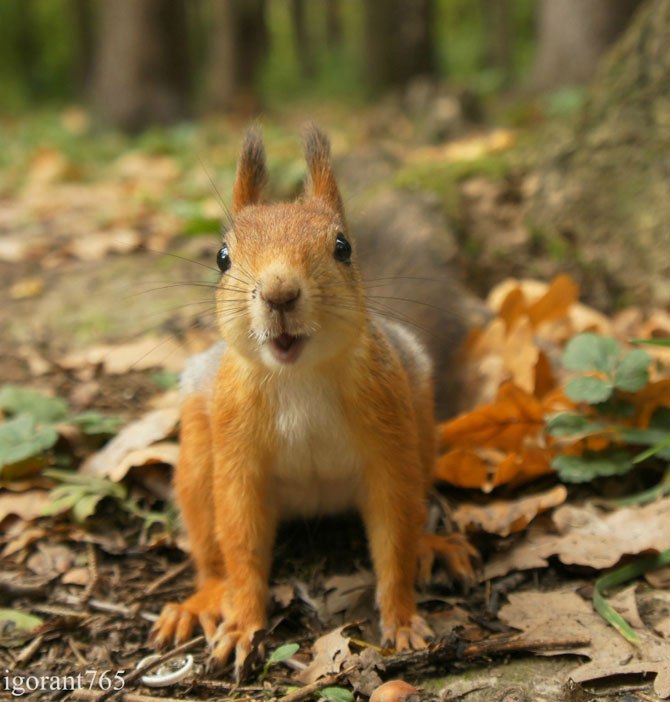 Наташа Васильева | Красноярск