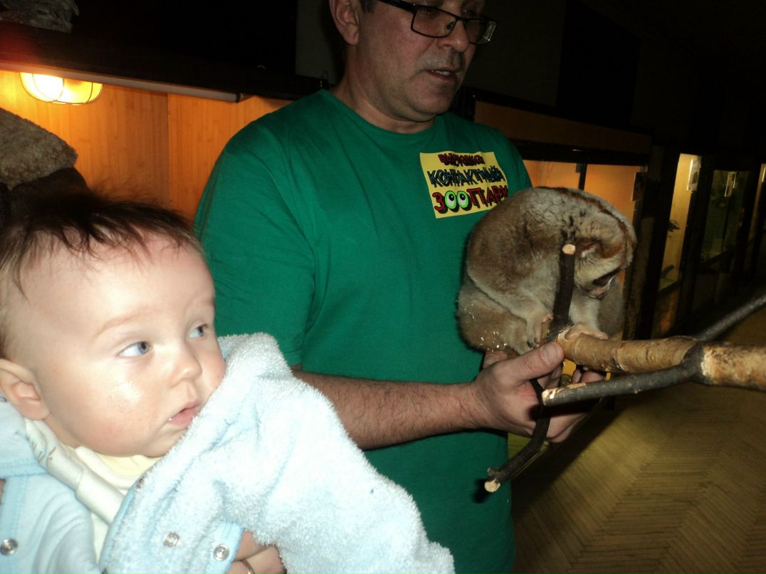 Вячеслав Трофимовский | Санкт-Петербург