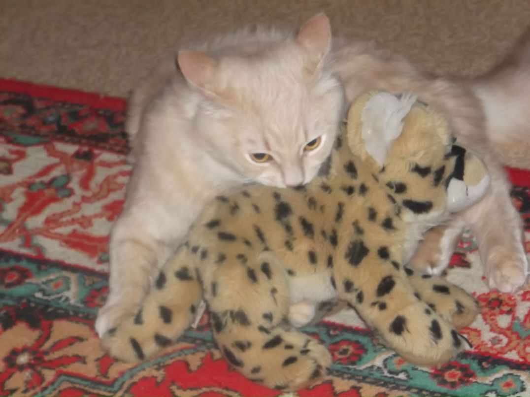 Катя Кулева | Тольятти