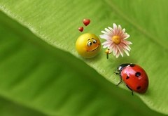 Валентина Котляр | Житомир