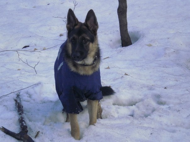 Ольга Царикова | Уфа