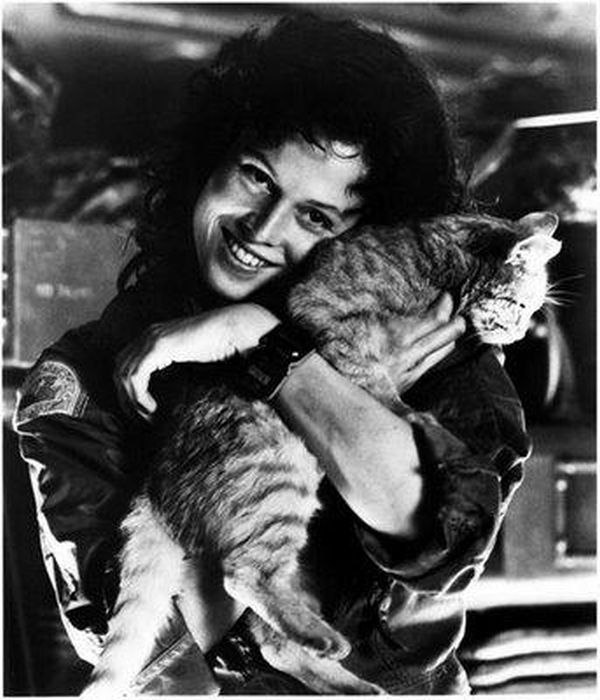 Диана Боклащук | Одесса