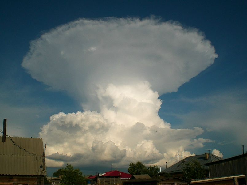 №37, Витька Хоменко, 41 год, Киев №37, Витька Хоменко, 41 год, Киев