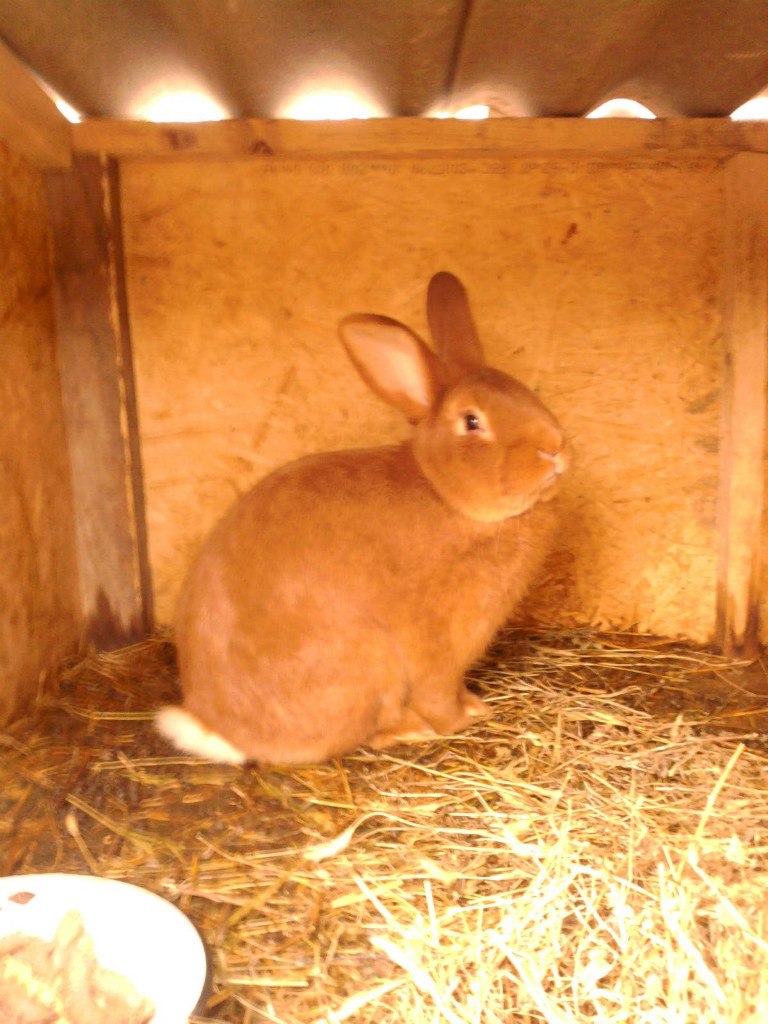 Инна Бондарь | Одесса