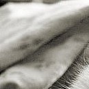 №20, Вера Милюхина, Тюмень №20, Вера Милюхина, Тюмень