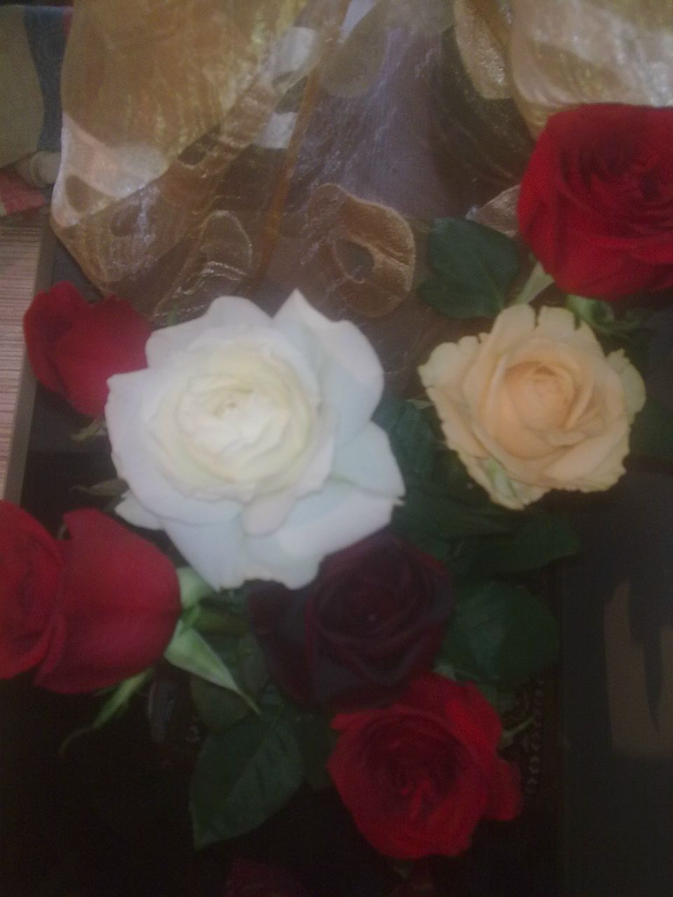 Рамина Сабитова | Алматы