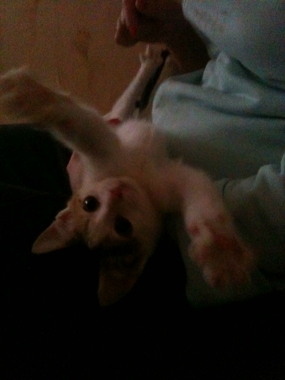 Анна Великогло | Краснодар