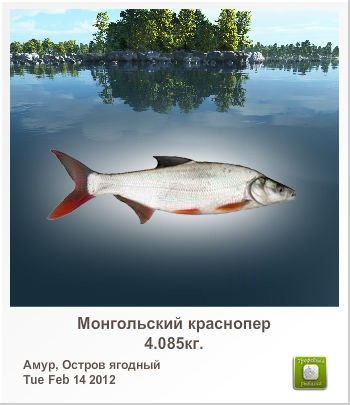 Сергей Дегтярев | Курган