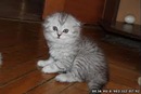 Фотография Ткач Анастасии