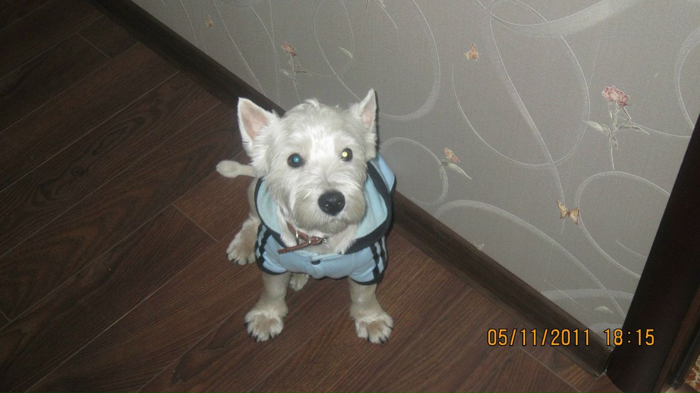 Sanches Kurenkoff | Москва