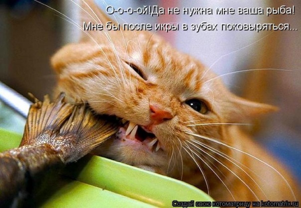 Жизнь Прекрасна