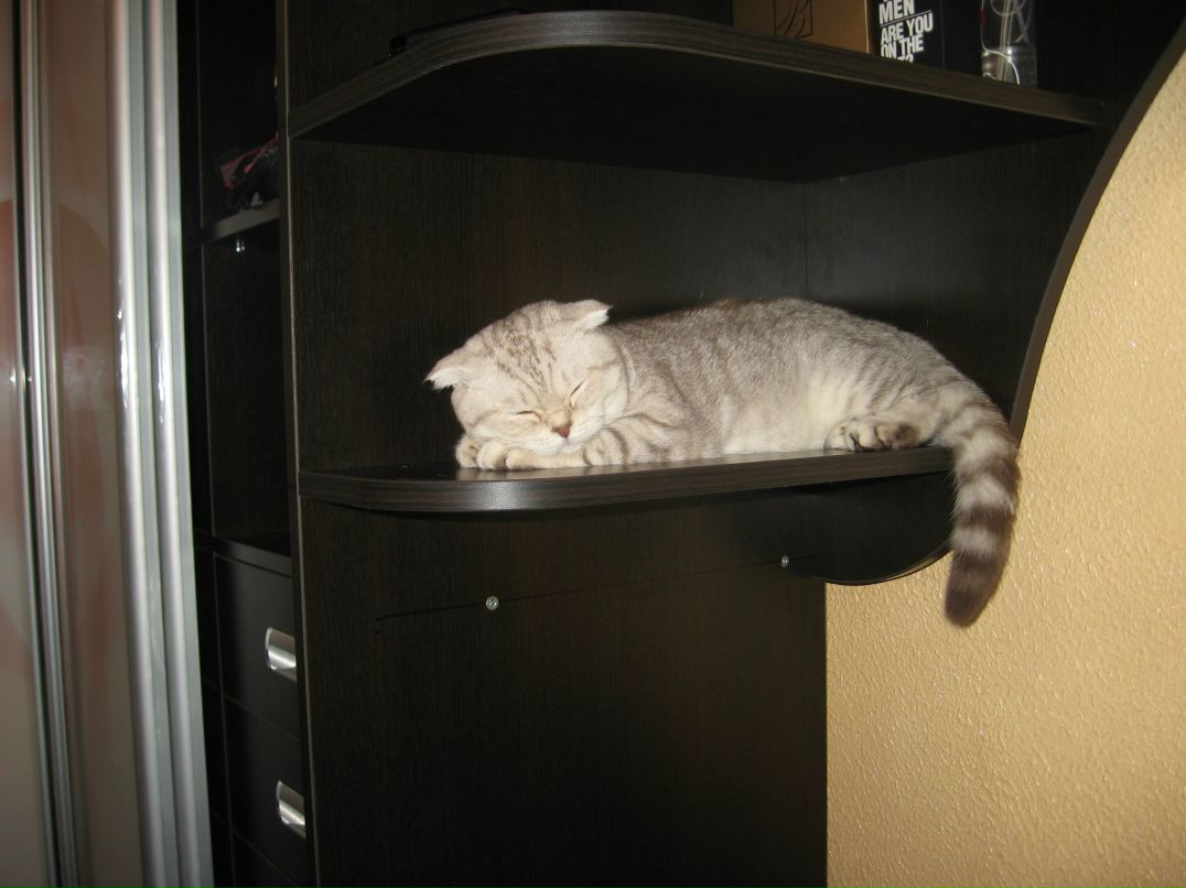 Наталья Фатейкина 