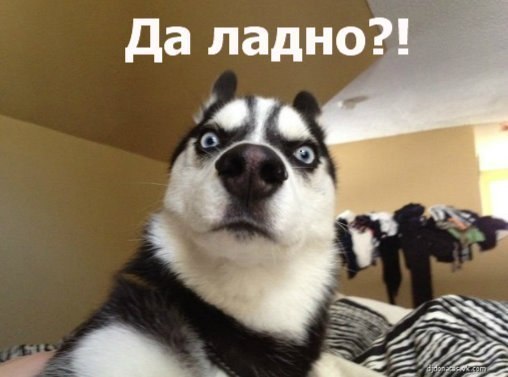 Евгений Сальников | Санкт-Петербург