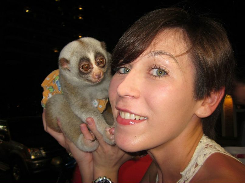 Елена Волкова | Москва