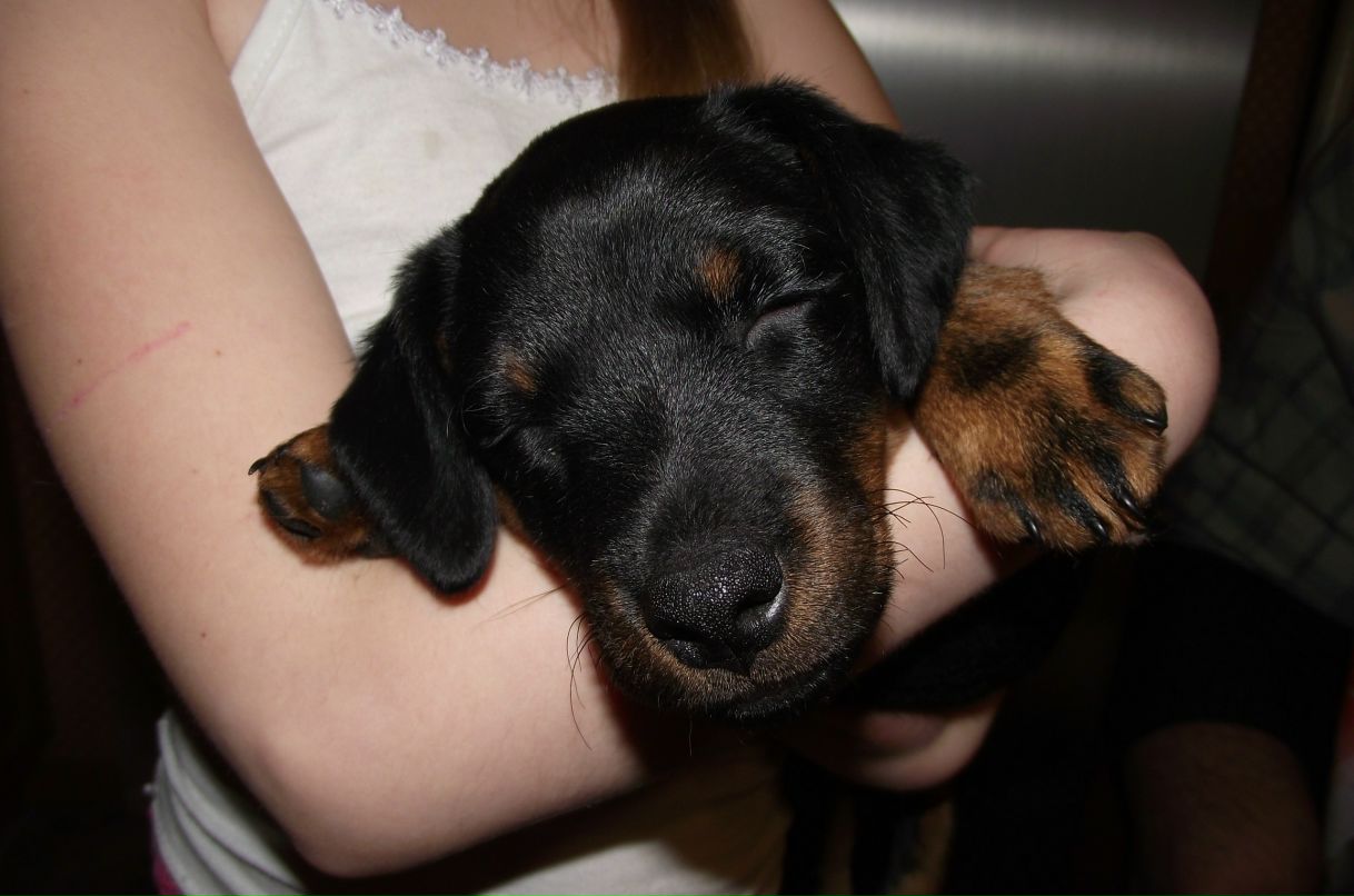 Валерия Дымочко | Москва