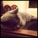 №2, Карина Зиновьева, 27.2, Москва, Россия