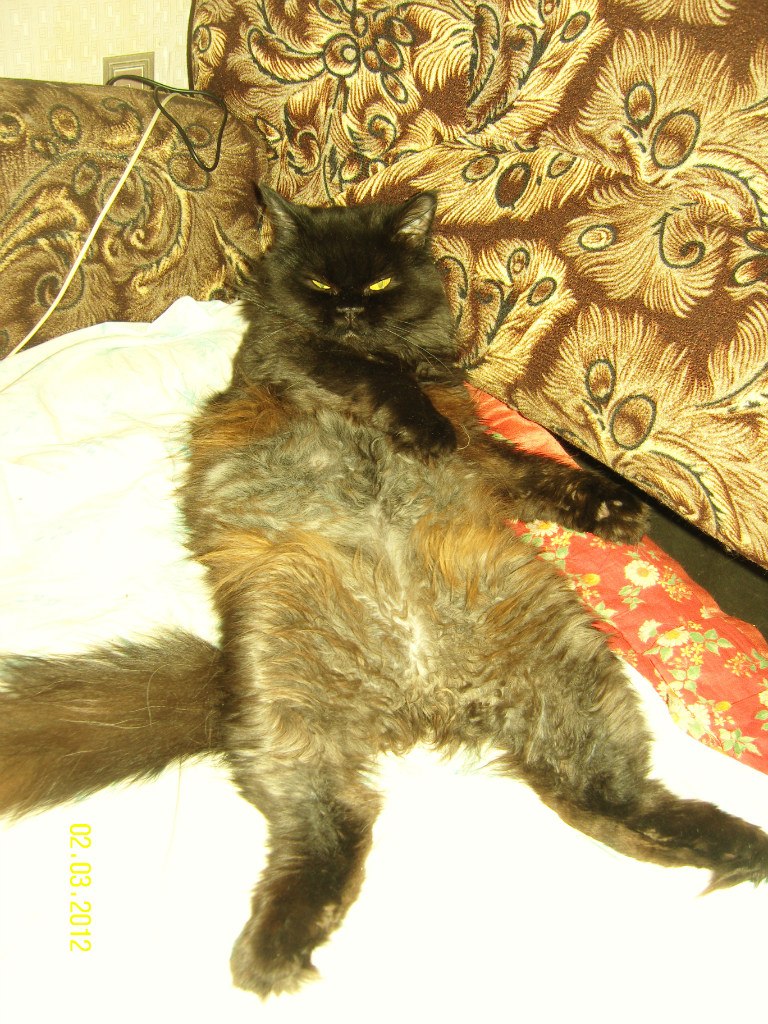 Аида Мингазова | Казань