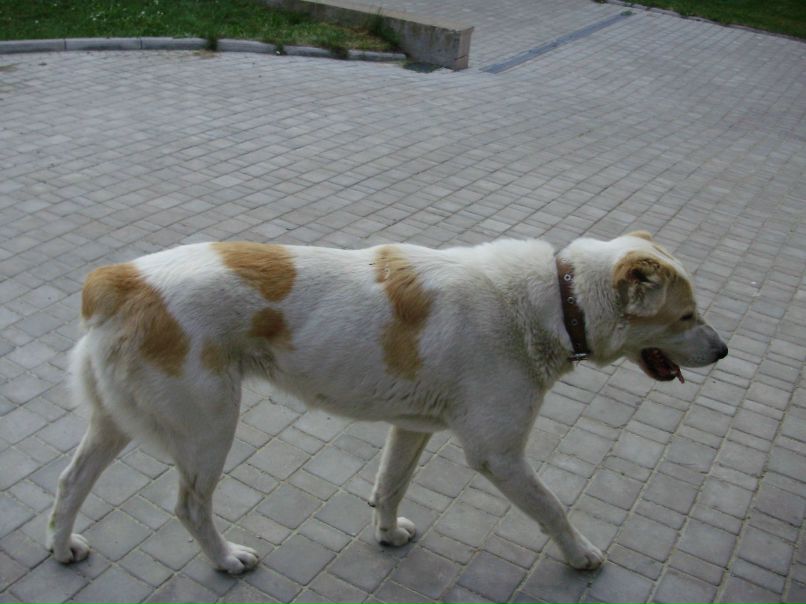 Дмитрий Худяков | Санкт-Петербург