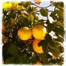 №25 Ольга Станилова : профиль, фото, статус - ВКонтакте