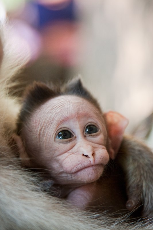 Марина Дубах зайцева | Санкт-Петербург