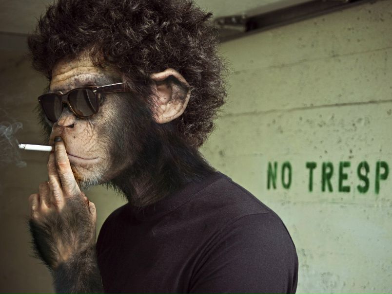 №36, Илья Дмитришин №36, Илья Дмитришин