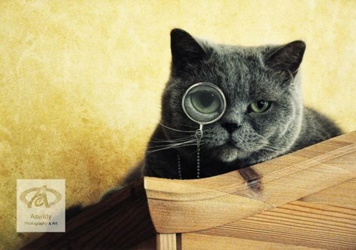 Тимур Федотов | Санкт-Петербург