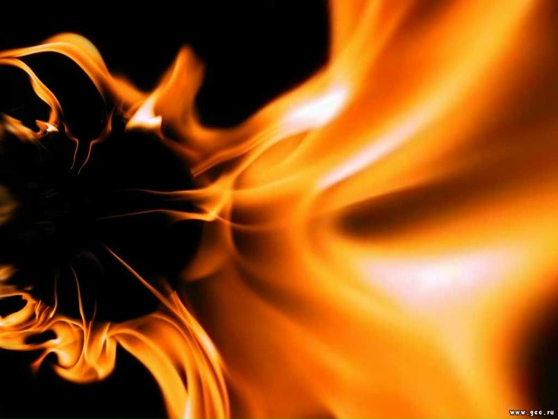 №16, Сергей Витер, 39 лет, Каменка / Бильмак / Куйбышево №16, Сергей Витер, 39 лет, Каменка / Бильмак / Куйбышево