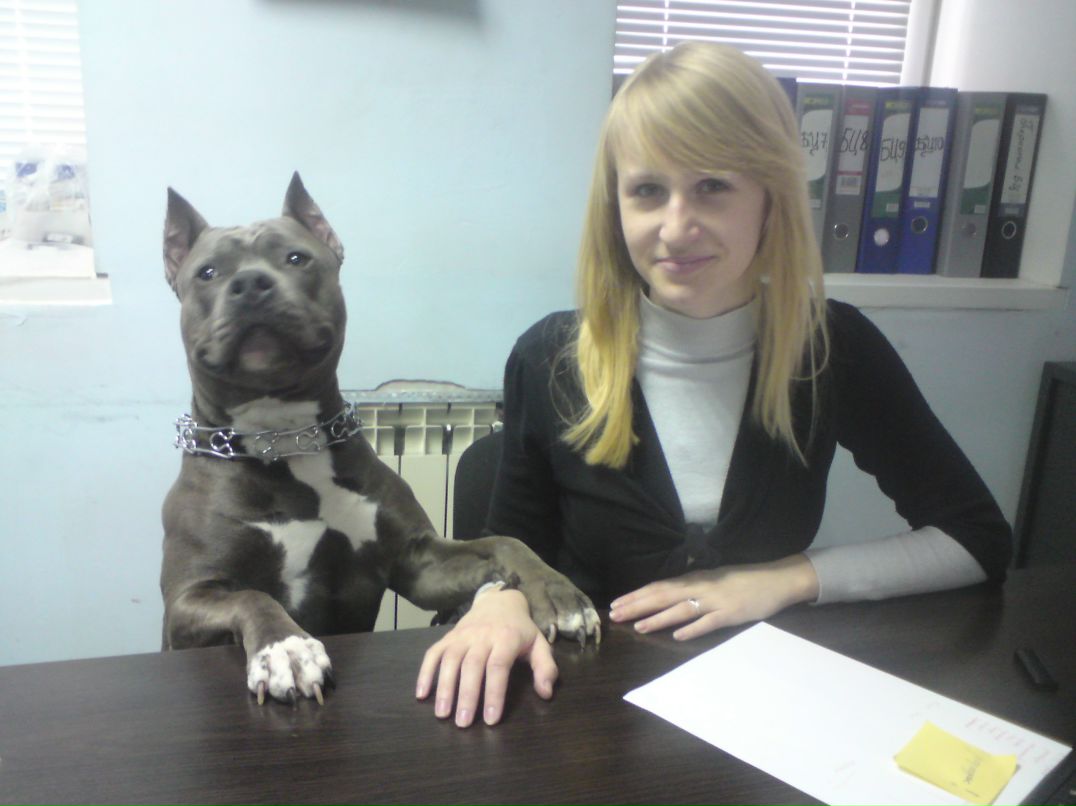 Антоніна Малинко | Белая Церковь