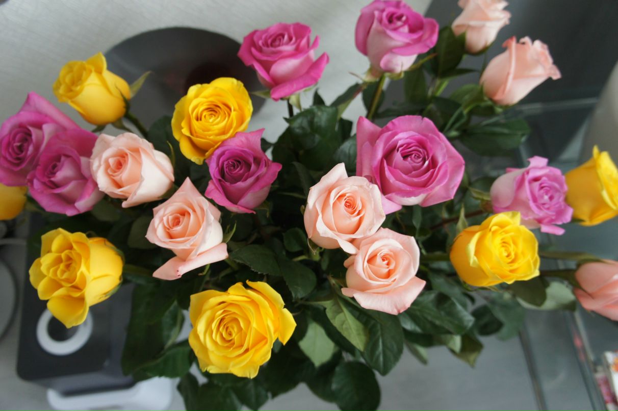 Светлана Баранова | Москва