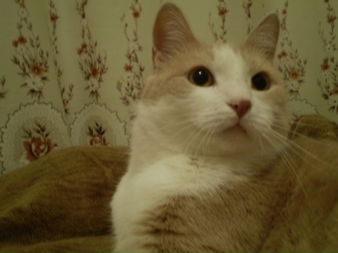 Евгений Васильев Jonny Ekman | Великий Новгород